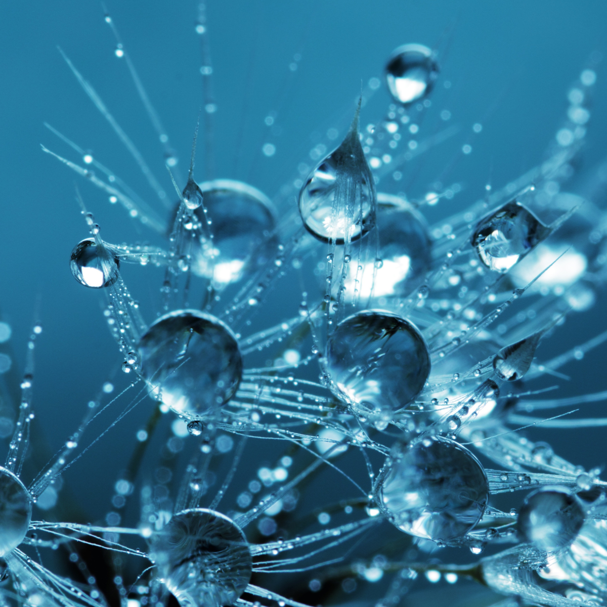 Reaching the Right Customers with the Right Messages and KPIs