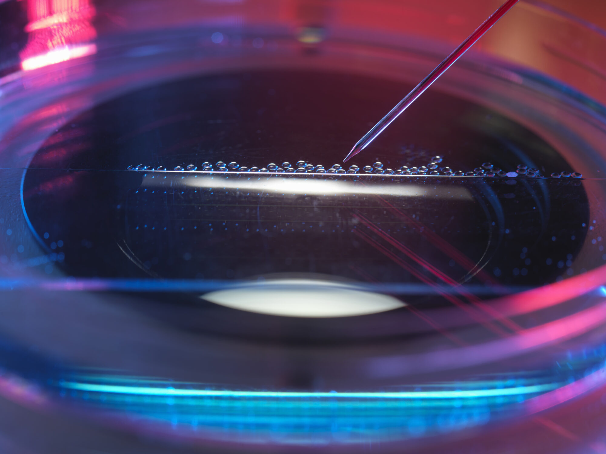 Decoding Misconceptions Between RNA and Gene Therapy